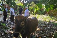 Wakil Ketua II DPRK Nabire, Joni Nehemia Pakage, menyerahkan hewan kurban kepada pengurus Masjid Nurul Bahri Smoker, Nabire, Jumat (6/6/2025).