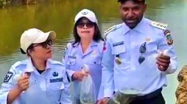 Bupati Paniai, Yanpit Nawipa, secara simbolis melepas bibit ikan ke Kali Weya, Distrik Bibida, pada Rabu (30/7/2025), sebagai bagian dari program pemenuhan kebutuhan protein masyarakat pinggiran sungai.