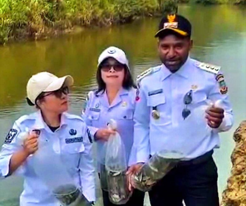Bupati Paniai, Yanpit Nawipa, secara simbolis melepas bibit ikan ke Kali Weya, Distrik Bibida, pada Rabu (30/7/2025), sebagai bagian dari program pemenuhan kebutuhan protein masyarakat pinggiran sungai.