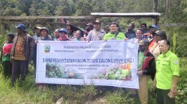 Tim DPPKP Papua Tengah bersama Dinas Pertanian Deiyai meninjau kebun kopi dan nanas sebagai bagian dari program bantuan bibit.