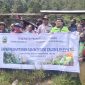 Tim DPPKP Papua Tengah bersama Dinas Pertanian Deiyai meninjau kebun kopi dan nanas sebagai bagian dari program bantuan bibit.