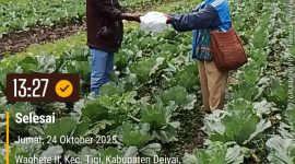 Kepala Bidang Pertanian dan Holtikultura, Ibu Yakomina Pigome, secara simbolis menyerahkan bantuan bibit sayuran dari Kementerian Pertanian kepada perwakilan kelompok tani penerima manfaat di Kabupaten Deiyai (24/10).