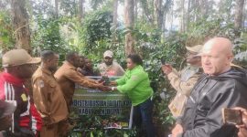Kepala Dinas Pertanian Kabupaten Deiyai Aleks Pigai (kanan) bersama perwakilan Dinas Pertanian Provinsi, Ibu Maya (tengah), menyerahkan 6.400 bibit kopi secara simbolis kepada Bupati Deiyai Melkianus Mote (kiri).