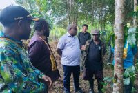 Gubernur dan Rombongan saat mengunjungi Kebun Kopi Milik Degamoye Pergi di kampung Okomotadi, distrik Tigi, pada Sabtu, 8/11/2025