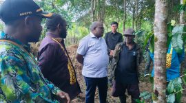 Gubernur dan Rombongan saat mengunjungi Kebun Kopi Milik Degamoye Pergi di kampung Okomotadi, distrik Tigi, pada Sabtu, 8/11/2025