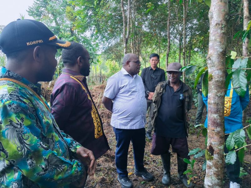 Gubernur dan Rombongan saat mengunjungi Kebun Kopi Milik Degamoye Pergi di kampung Okomotadi, distrik Tigi, pada Sabtu, 8/11/2025