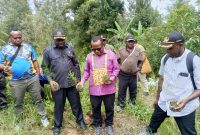Bupati Deiyai, Bapak Melkianus Mote, S.T., didampingi OPD, melaksanakan penanaman pohon secara simbolis di tepian Kali Wakei (20/11/2025).