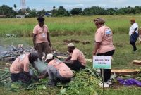Kelompok Barapen Asal Kabupaten Deiyai saat bungkus Barapen di lapangan Bandar Udara lama Pada Kamis, 20/11/2025. 
