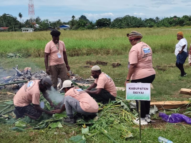 Kelompok Barapen Asal Kabupaten Deiyai saat bungkus Barapen di lapangan Bandar Udara lama Pada Kamis, 20/11/2025. 