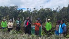 Sekda Deiyai Ambros Eria (tengah) menerima secara simbolis bibit nanas dan ubi jalar dari Dinas Pertanian Papua Tengah, Aleks Pigai, M.Pd., di Deiyai, Jumat (21/11/2025).