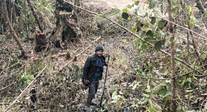 foto slider headline