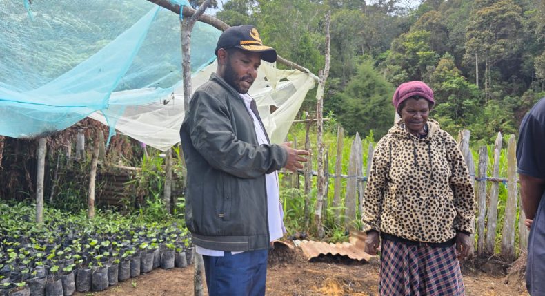 foto slider headline