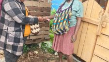 Kepala Dinas Sosial Deiyai Yulita Mote membeli dan menyerahkan bantuan kandang dan ternak babi kepada warga Desa Yagu, Distrik Tigi Barat, Kamis (23/4/2026).