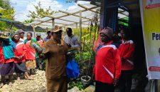 Sekretaris Dinas Ketahanan Pangan Kabupaten Deiyai menyerahkan bibit tanaman secara simbolis saat membuka pelatihan pengelolaan pangan berbasis sumber daya lokal di Deiyai, Senin (27/4/2026).