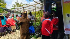 Sekretaris Dinas Ketahanan Pangan Kabupaten Deiyai menyerahkan bibit tanaman secara simbolis saat membuka pelatihan pengelolaan pangan berbasis sumber daya lokal di Deiyai, Senin (27/4/2026).