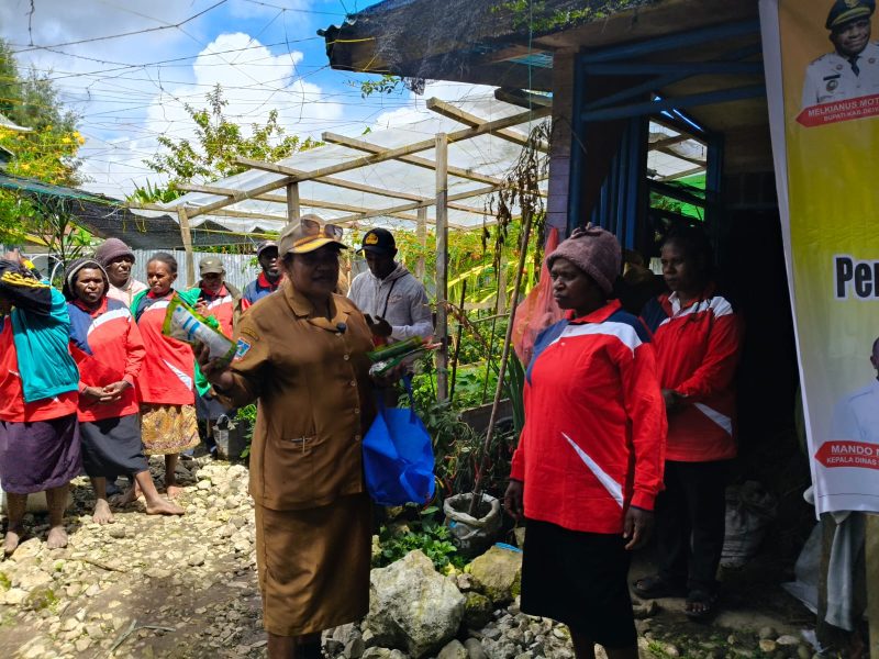 Sekretaris Dinas Ketahanan Pangan Kabupaten Deiyai menyerahkan bibit tanaman secara simbolis saat membuka pelatihan pengelolaan pangan berbasis sumber daya lokal di Deiyai, Senin (27/4/2026).