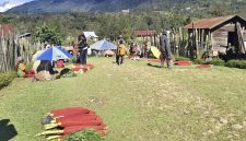 Kampung Deemago di Kabupaten Deiyai masih terisolir tanpa akses jalan dan listrik. Warga berharap pemerintah segera membangun infrastruktur untuk mendukung ekonomi masyarakat.