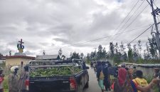 Panitia syukuran Partai Kebangkitan Bangsa (PKB) memborong petatas dan berbagai jenis sayuran hasil kebun masyarakat Amago hingga Oneibo, Wilayah Bomou, Jumat (31/7/2026).