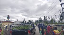 Panitia syukuran Partai Kebangkitan Bangsa (PKB) memborong petatas dan berbagai jenis sayuran hasil kebun masyarakat Amago hingga Oneibo, Wilayah Bomou, Jumat (31/7/2026). 