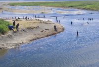 Masyarakat sedang mandi dan cuci baju di muara kali Oneibo di masa musim kemarau. 