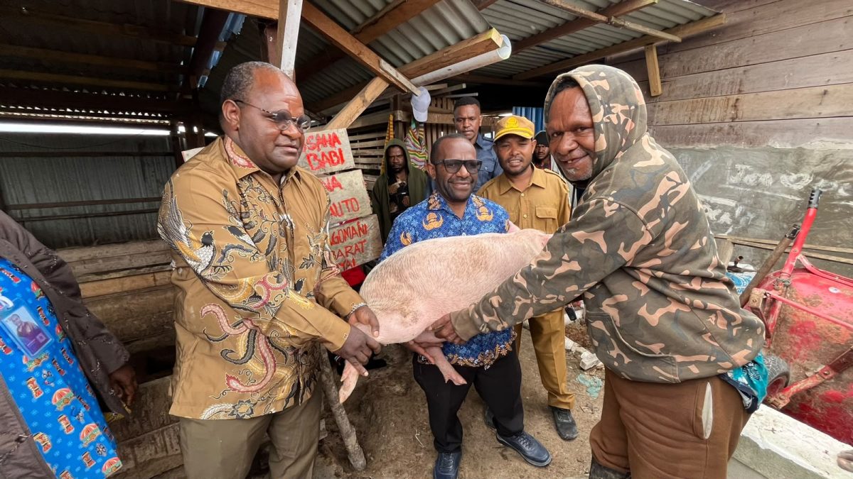 Bupati Melkianus Mote didampingi wakil bupati Ayub Pigome dan kepala dinas pertanian Aleks Pigai saat menyerahkan bibit ternak kepada kelompok Totamanaa Enaimoo Tadauto, Kamis, 6/8/2026.