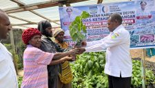 Asisten III Setda Kabupaten Deiyai Daniel Bunai menyerahkan bantuan bibit tanaman secara simbolis kepada masyarakat dan kelompok tani di Kampung Idege, Rabu (26/8/2026), sebagai bagian dari program penguatan ketahanan pangan daerah.