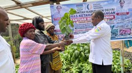 Asisten III Setda Kabupaten Deiyai Daniel Bunai menyerahkan bantuan bibit tanaman secara simbolis kepada masyarakat dan kelompok tani di Kampung Idege, Rabu (26/8/2026), sebagai bagian dari program penguatan ketahanan pangan daerah.