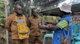 Gubernur Papua Tengah Meki Fritz Nawipa, S.H., bersama Bupati Deiyai Melkianus Mote, S.T., meninjau langsung pengembangan pertanian terpadu dan pembibitan pohon milik Kelompok Tani Maju yang dipimpin Yesaya Giyai di Kampung Onago, Distrik Tigi Barat, Kabupaten Deiyai, Selasa (8/9/2026).