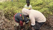 Anggota KOMANDAN Deiyai melakukan penanaman 15 bibit pohon cemara di pinggiran Kali Oneibo, Kabupaten Deiyai, Papua Tengah, Sabtu (10/10/2026).