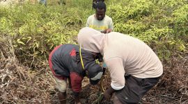 Anggota KOMANDAN Deiyai melakukan penanaman 15 bibit pohon cemara di pinggiran Kali Oneibo, Kabupaten Deiyai, Papua Tengah, Sabtu (10/10/2026).